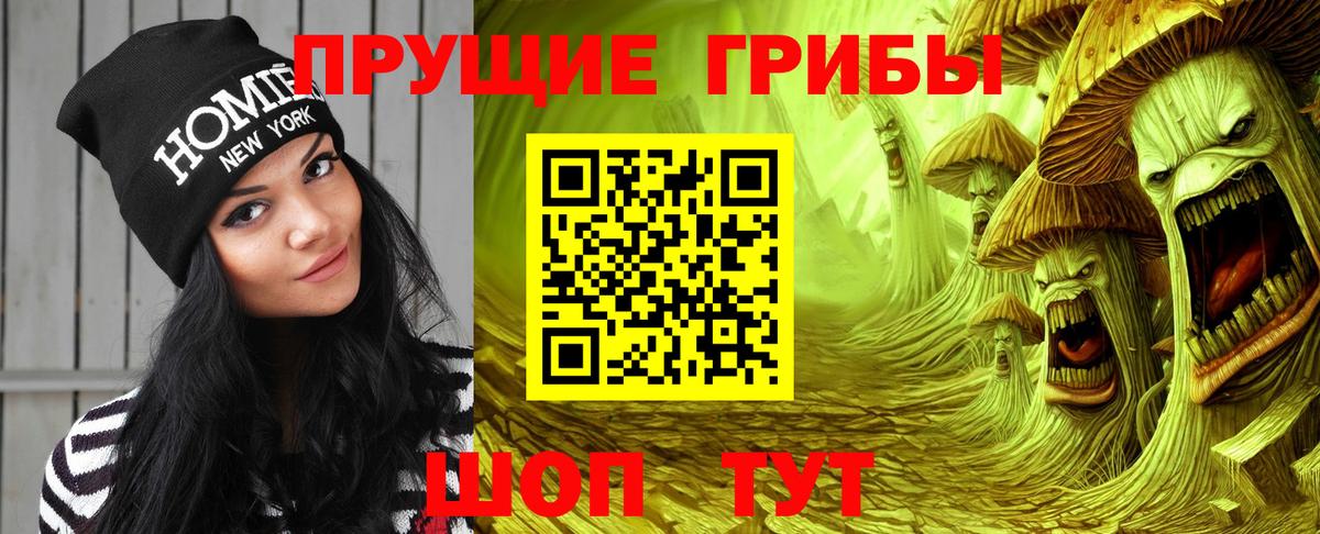 Псилоцибиновые грибы прущие грибы  Вход с VPN  где можно купить   Галлюциногенные грибы Psilocybe  Нефтекумск 